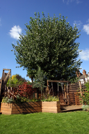 Adventure Playground hampstead
