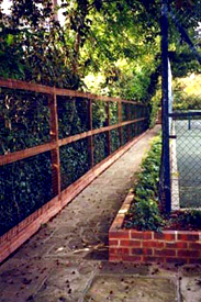 Camberley Fencing and Trellis