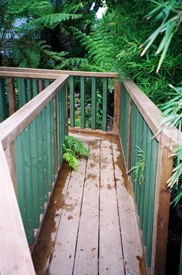 Ham Decking Design Surrey