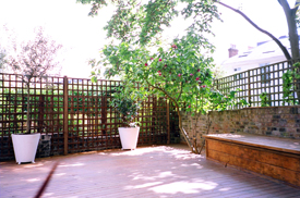 Chiswick Decking Designer London
