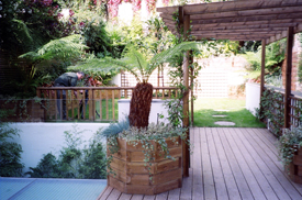 Decking Design