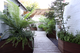 Deck Contractractors