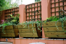 Surrey Fencing and Trellis