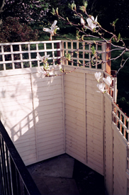 Building a Fence