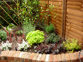 Staines Fencing and Trellis