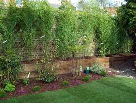 London Garden Designs