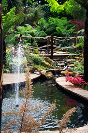 Ascot Garden Designers