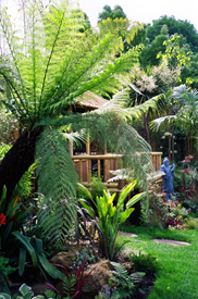 Chorley Wood Garden Designers