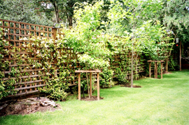Highbury Garden Designers London