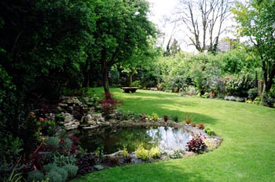 Low maintenance Garden Designs
