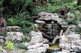 Rockery Garden Designers