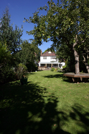 Dartmouth Park Garden Designers
