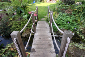 Fulham Garden Designers