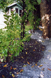 Garden Landscaping Kensal Rise