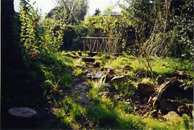 Garden Landscaping Regents Park