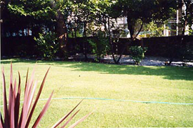 back lawns