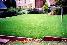 London Lawn 