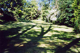 garden Lawns