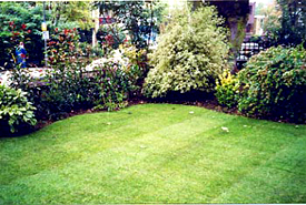 Organic Lawn and Turf
