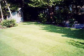 Guide to Lawn and Turf