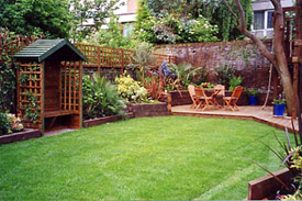 Lawn Fertiliser