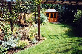 Lawn and Turf Fertiliser
