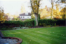 Garden Lawns Camden