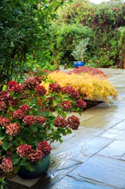 Patio DEsing