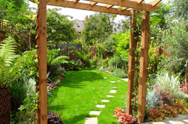 Garden Designer at work