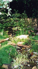 London Planting Designs