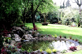 Mapesbury Planting Schemes