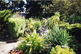 Notting Hill Planting Designers