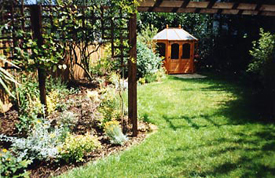 St Johns Wood Planting Design