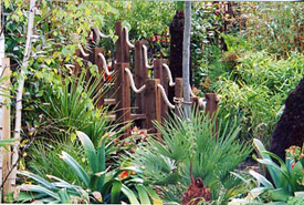 Middlesex Planting Schemes