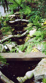 Planting Design Fulham