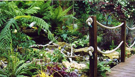 Islington Planting Designer