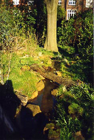 Richmond Planting Schemes