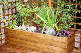 wooden raised plant beds