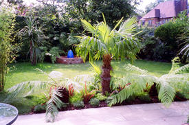 featured raised planting bed