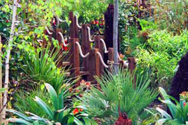 London Roof Garden DEsign
