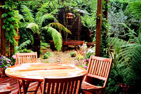 Hendon Roof Garden Builders
