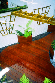Roof Garden Designs