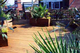 Roof Garden design and Build
