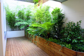 Roof Gardens St albans