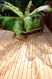 Celebrity Roof Gardens
