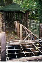 Garden Design and Construction