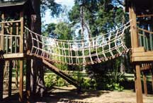 Garden Design and Construction