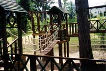 Garden Design and Construction