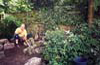 Lighting Garden Fencing