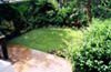 Temple Fortune Decking